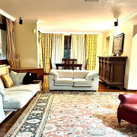 Elena Villa *